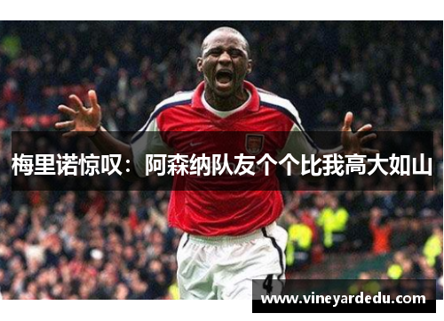 梅里诺惊叹：阿森纳队友个个比我高大如山